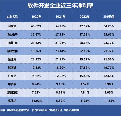 軟件開發行業中誰是最盈利的企業？